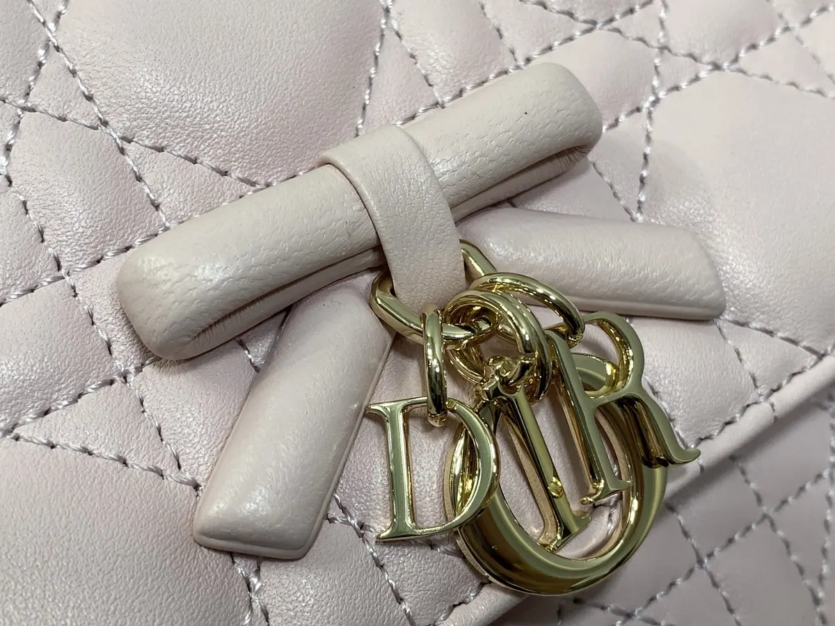 Dior Style Pink Leather Chain Bag Lookbook Reference image 3