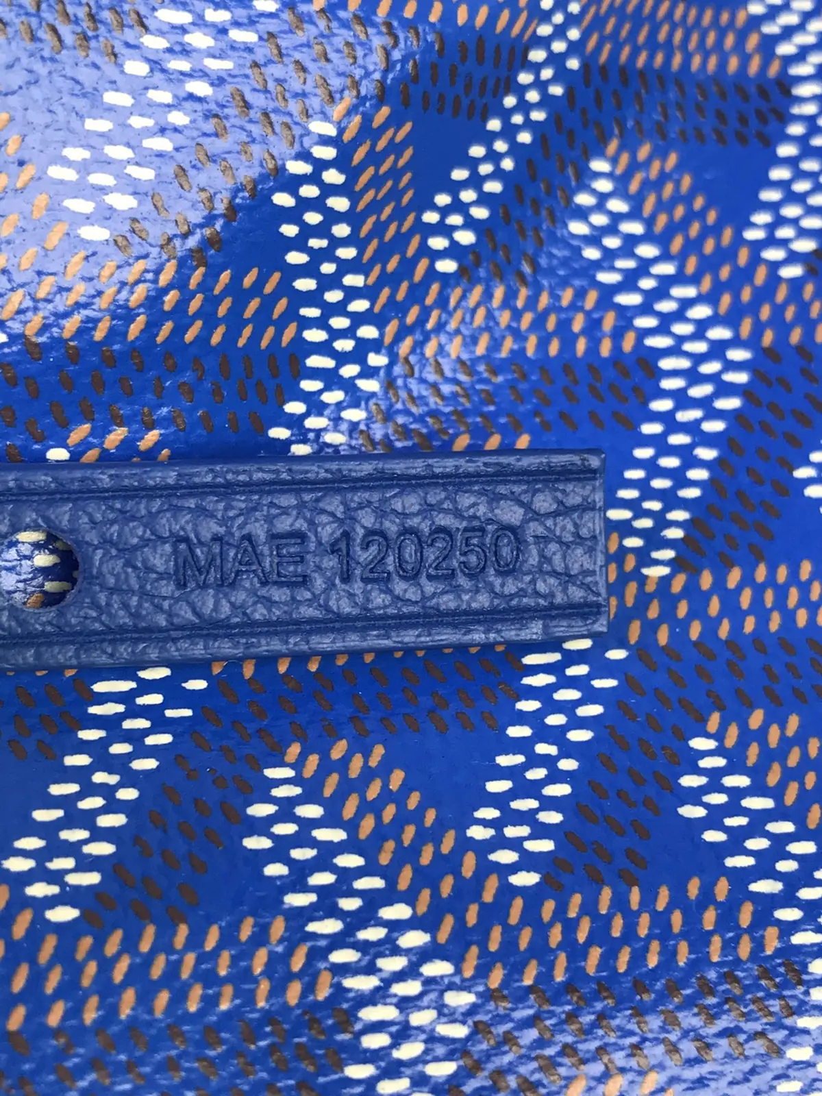 Goyard Style Hobo Bag Lookbook Reference image 5