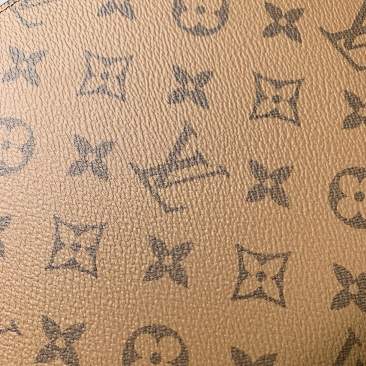 LV Style Beige Canvas Bag Lookbook Reference image 4