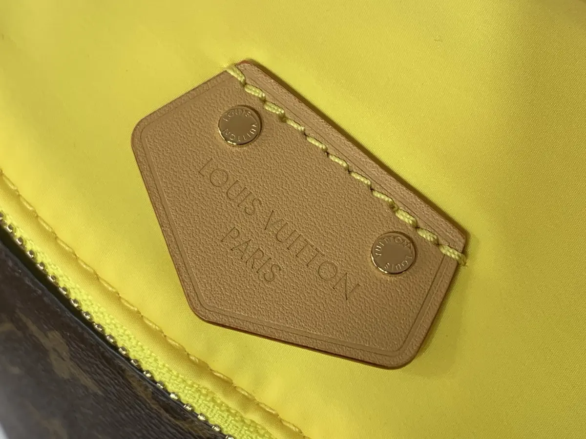 LV Style Beige Canvas Bags Lookbook Reference image 5