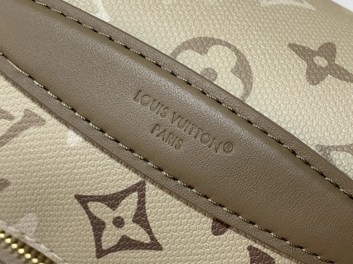 LV Style Beige Canvas Crossbody Bag Lookbook Reference image 5
