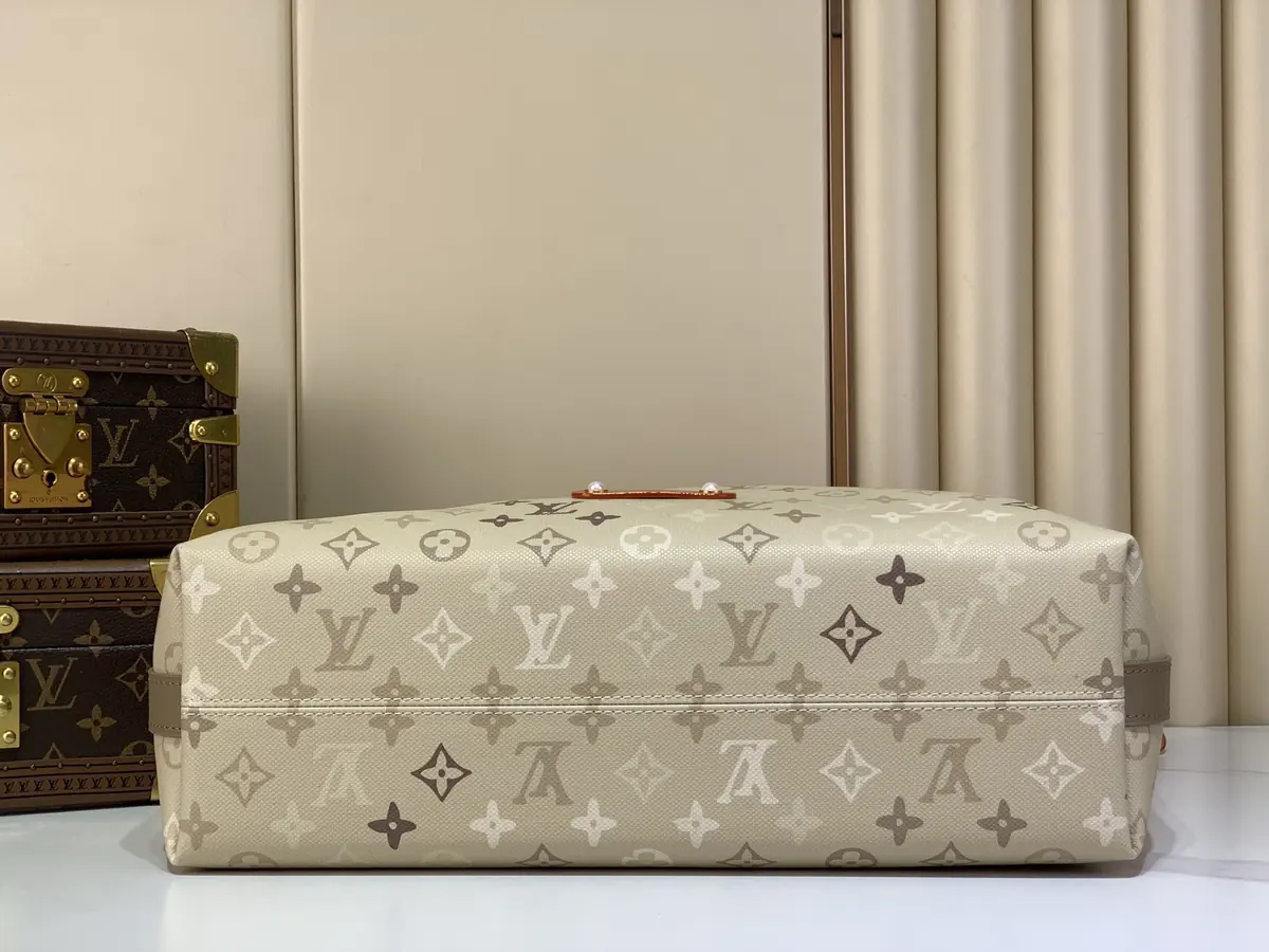 LV Style Beige Canvas Hobo Bag Lookbook Reference image 4
