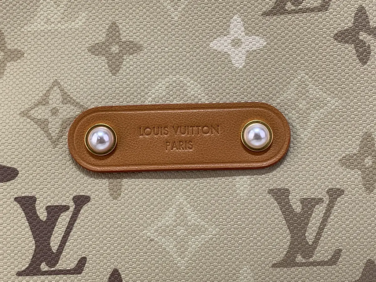 LV Style Beige Canvas Hobo Bag Lookbook Reference image 5