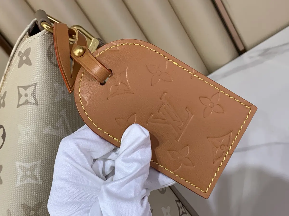 LV Style Beige Canvas Hobo Bag Lookbook Reference image 6