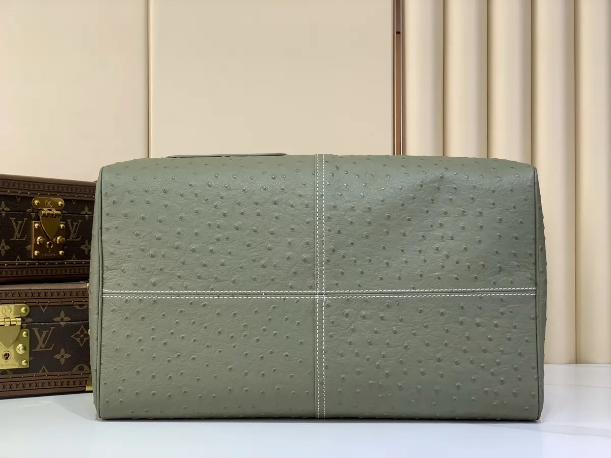 LV Style Beige Leather Bag Lookbook Reference image 4