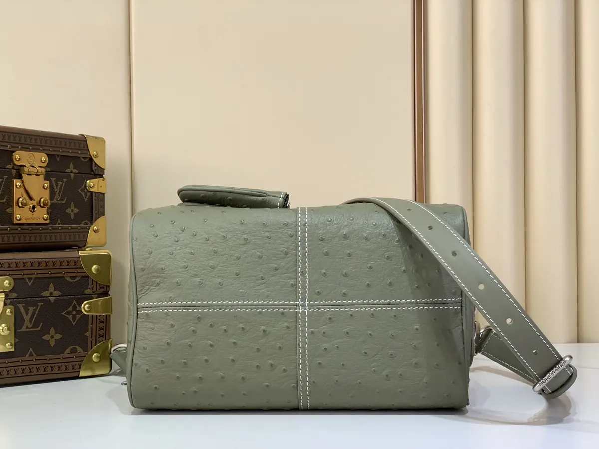 LV Style Beige Leather Bag Lookbook Reference image 4
