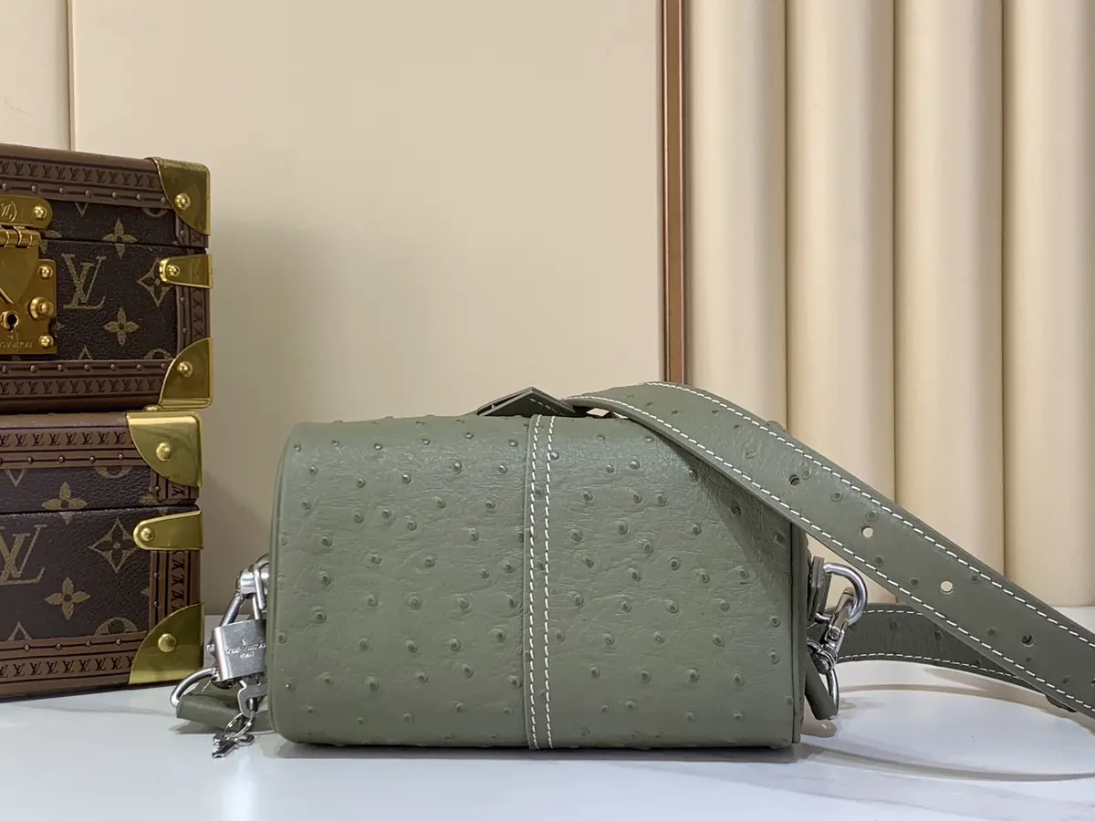 LV Style Beige Leather Bag Lookbook Reference image 4