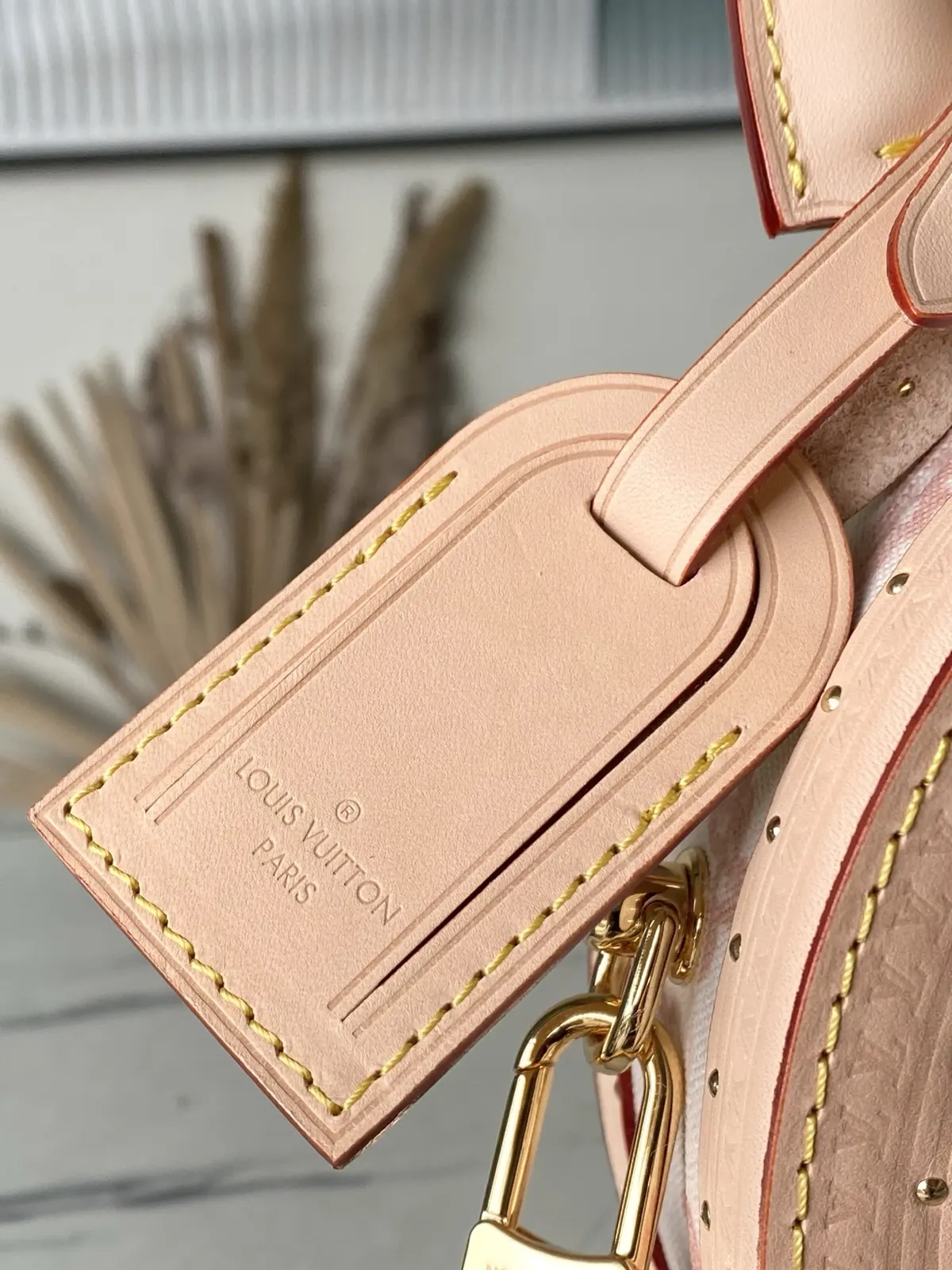 LV Style Beige Leather Bag style reference detail image 5 from source 787729