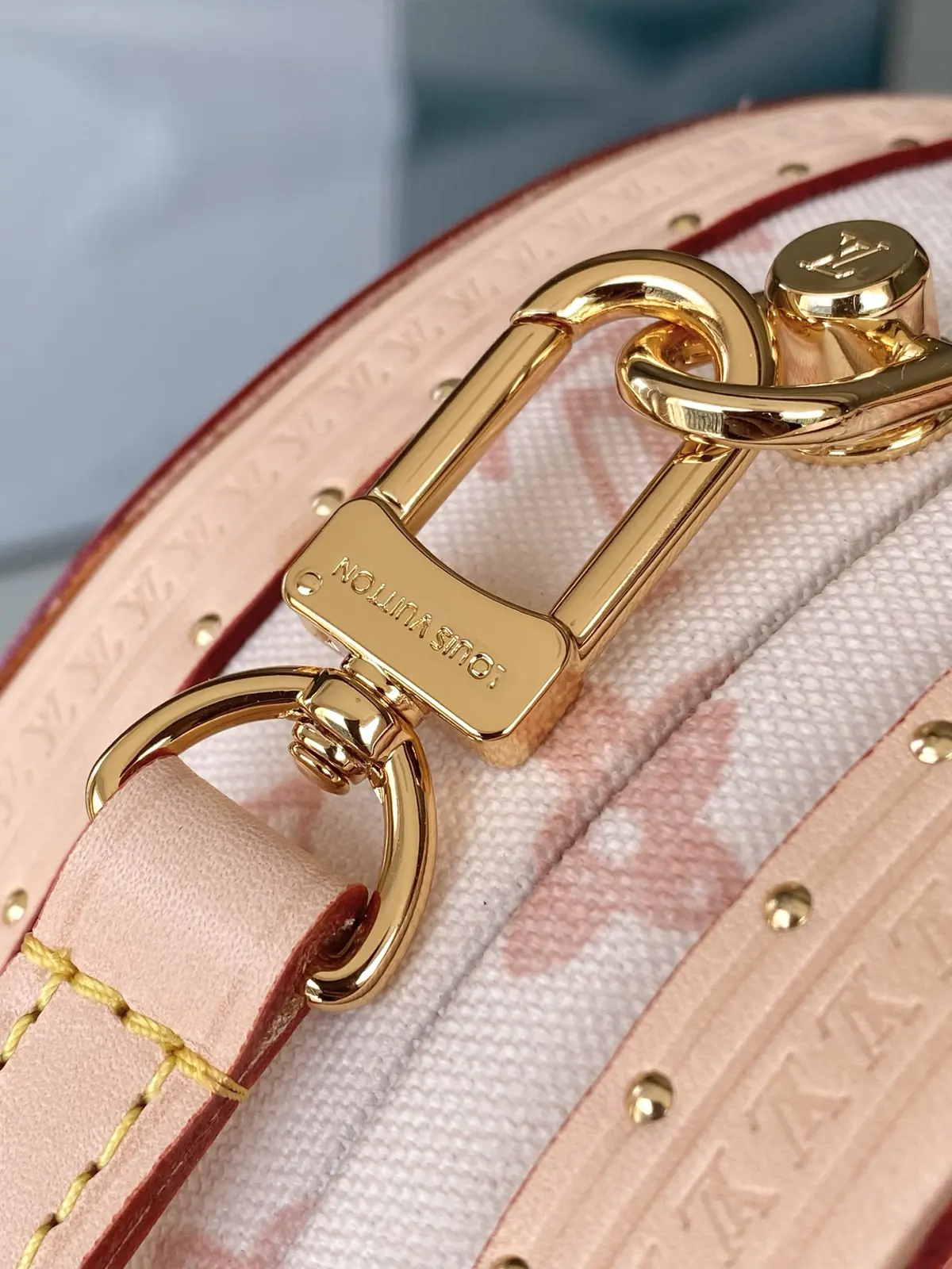 LV Style Beige Leather Bag style reference detail image 7 from source 787729
