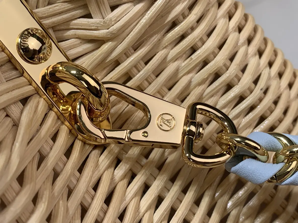 LV Style Beige Leather Chain Bag Lookbook Reference image 6