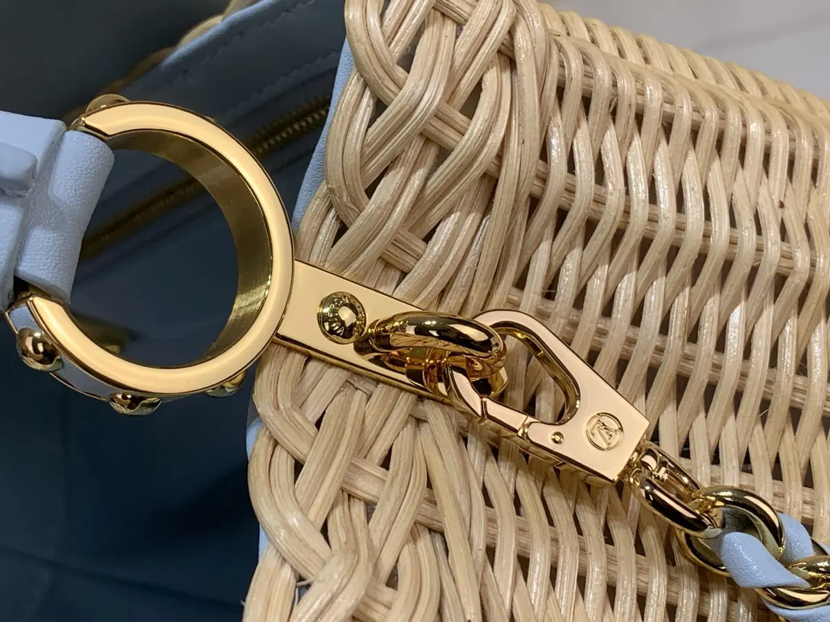 LV Style Beige Leather Chain Bag Lookbook Reference image 5