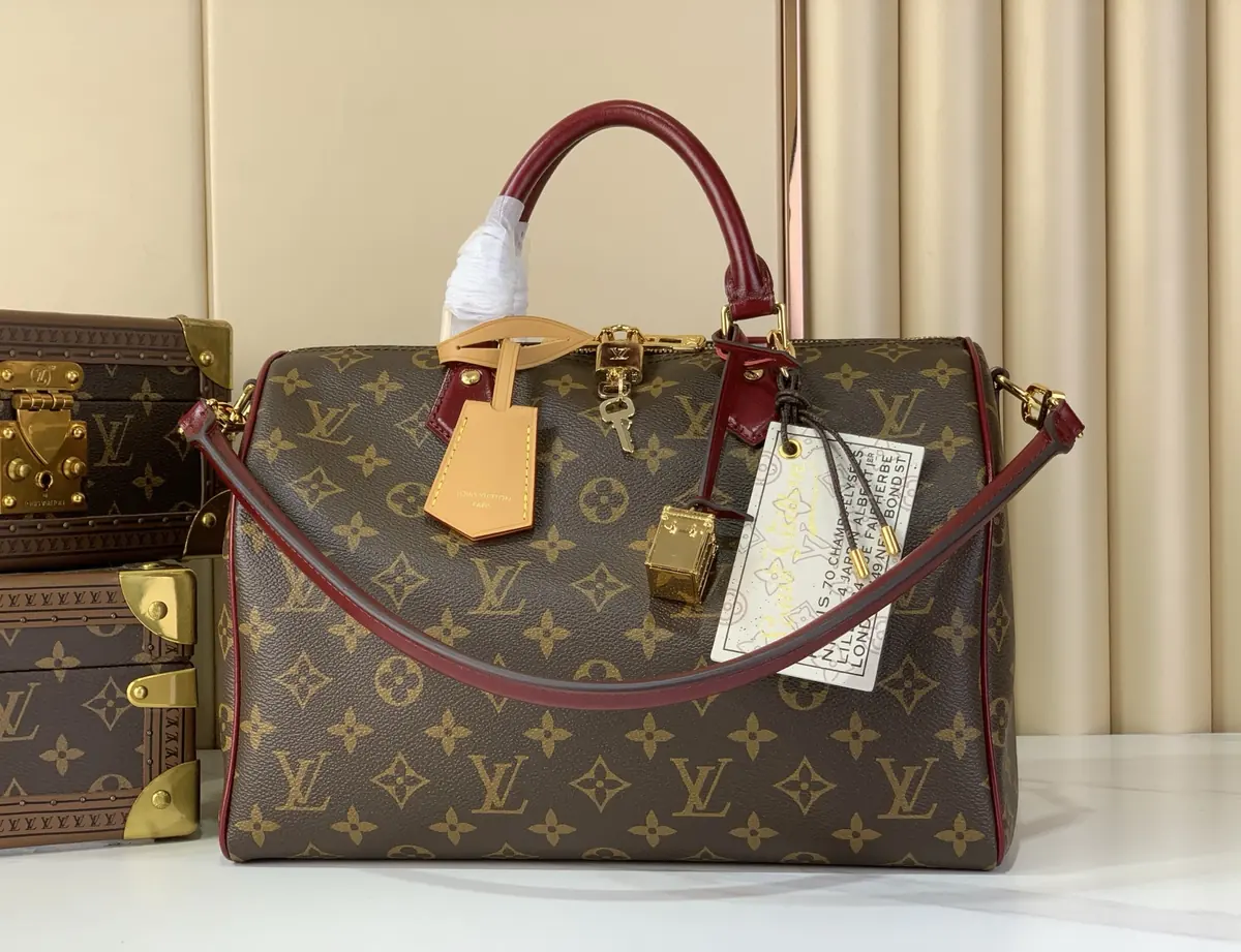 LV Style Black Leather Chain Bag Lookbook Reference image 1
