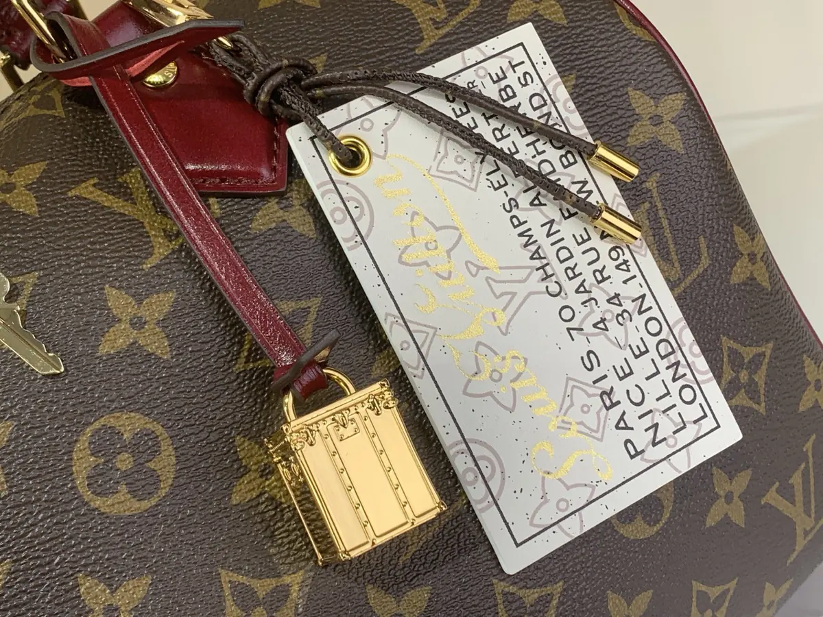 LV Style Black Leather Chain Bag Lookbook Reference image 5