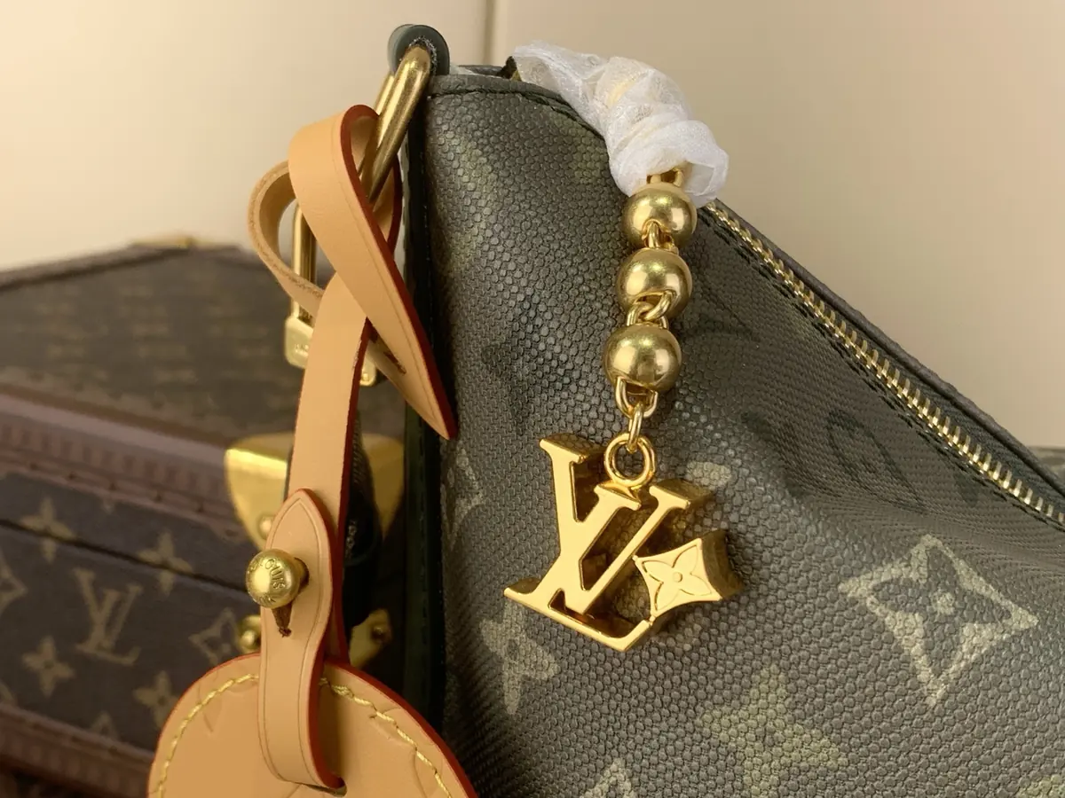 LV Style Brown Leather Hobo Bag Lookbook Reference image 5