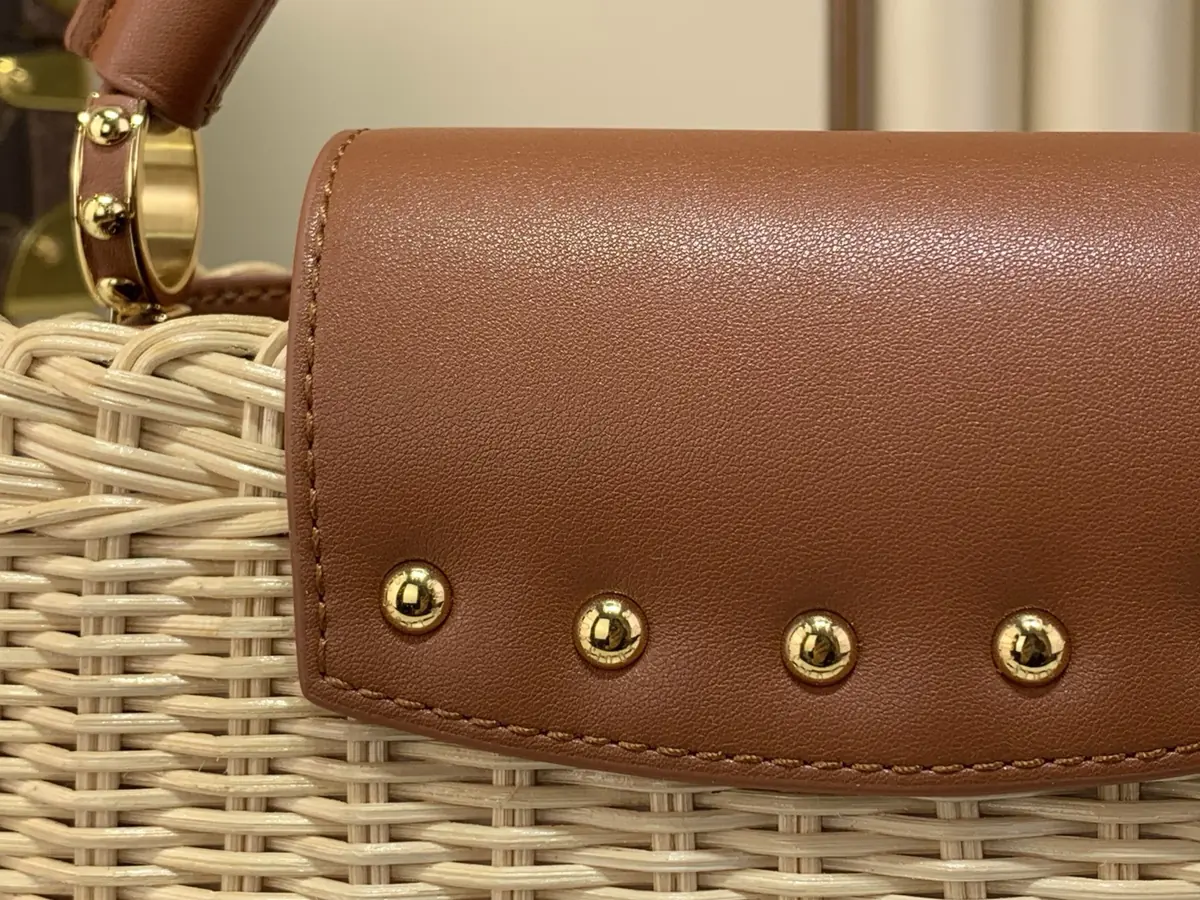 LV Style Brown Leather Shoulder Bag Lookbook Reference image 6