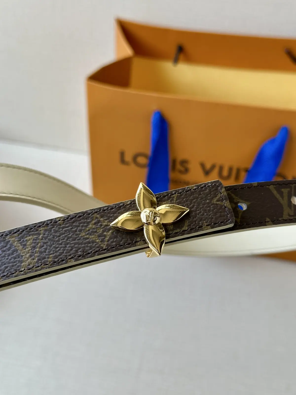 LV Style Gold Leather Women's Belt Lookbook Reference image 2
