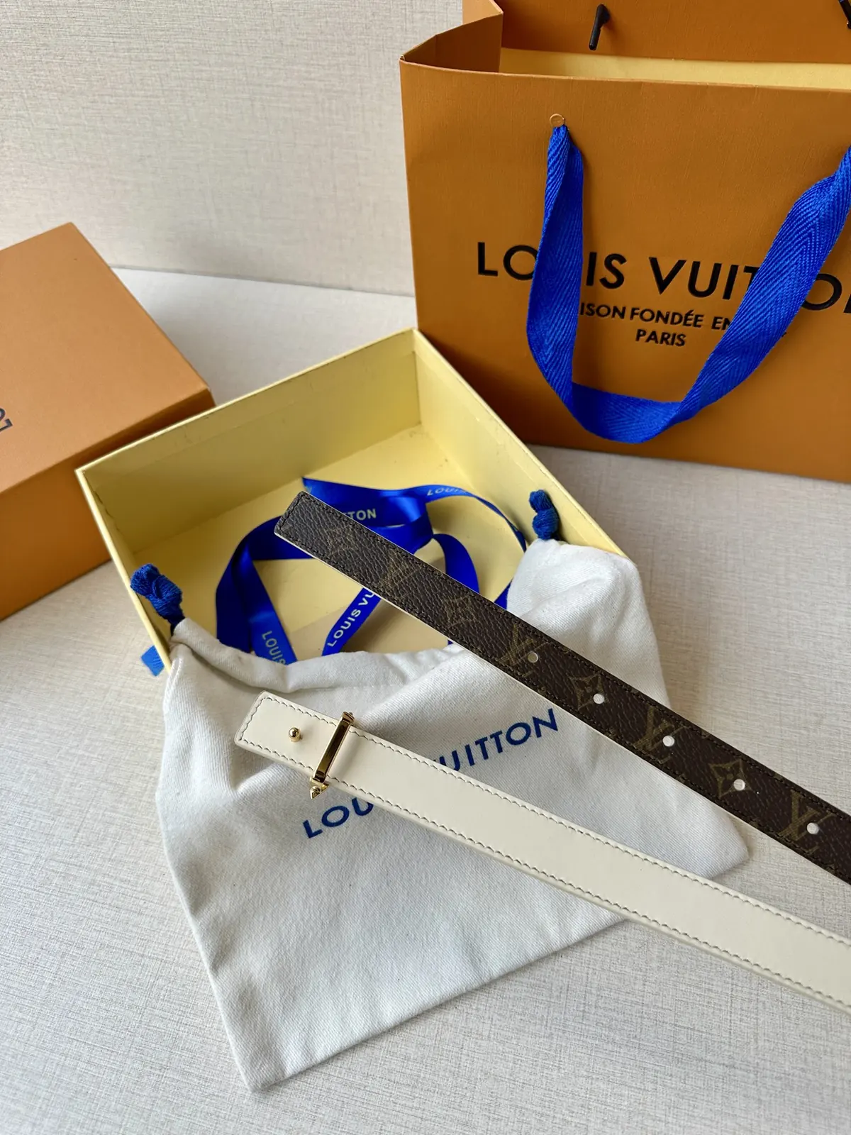 LV Style Gold Leather Women's Belt Lookbook Reference image 4