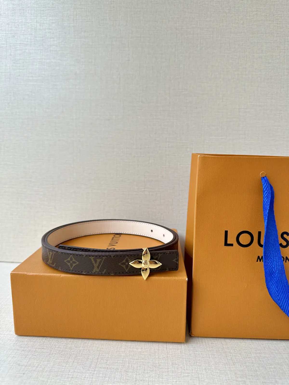 LV Style Gold Leather Women's Belt Lookbook Reference image 5
