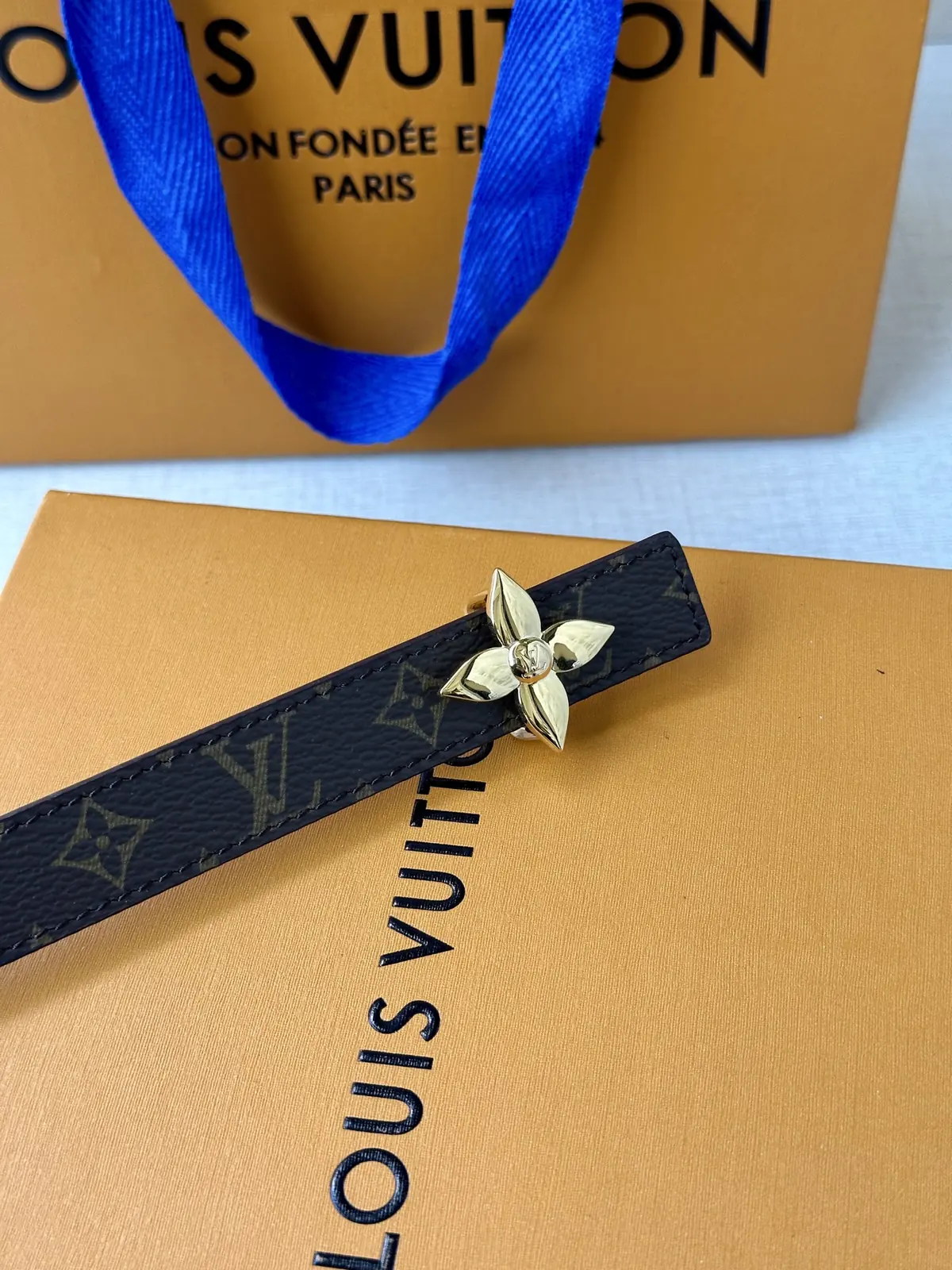 LV Style Gold Leather Women's Belt Lookbook Reference image 4