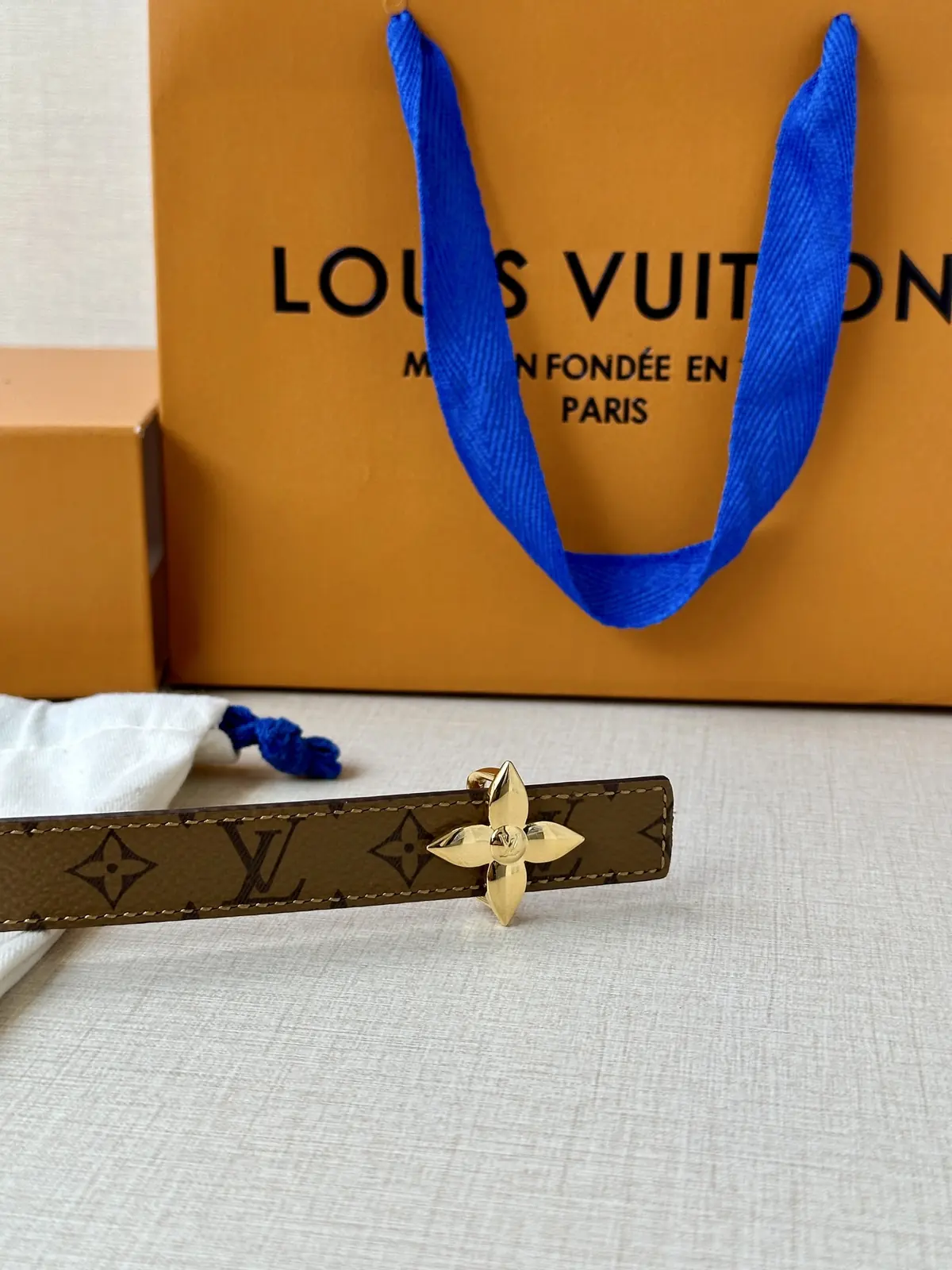 LV Style Gold Leather Women's Belt Lookbook Reference image 5