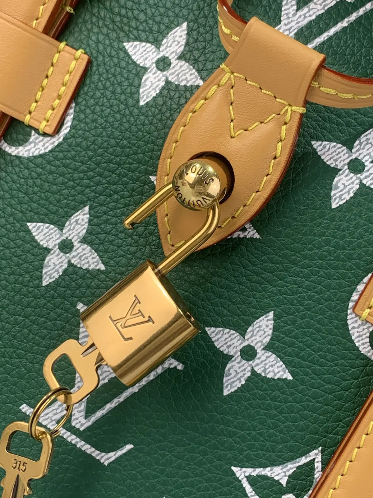 LV Style Green Leather Backpack Lookbook Reference image 5
