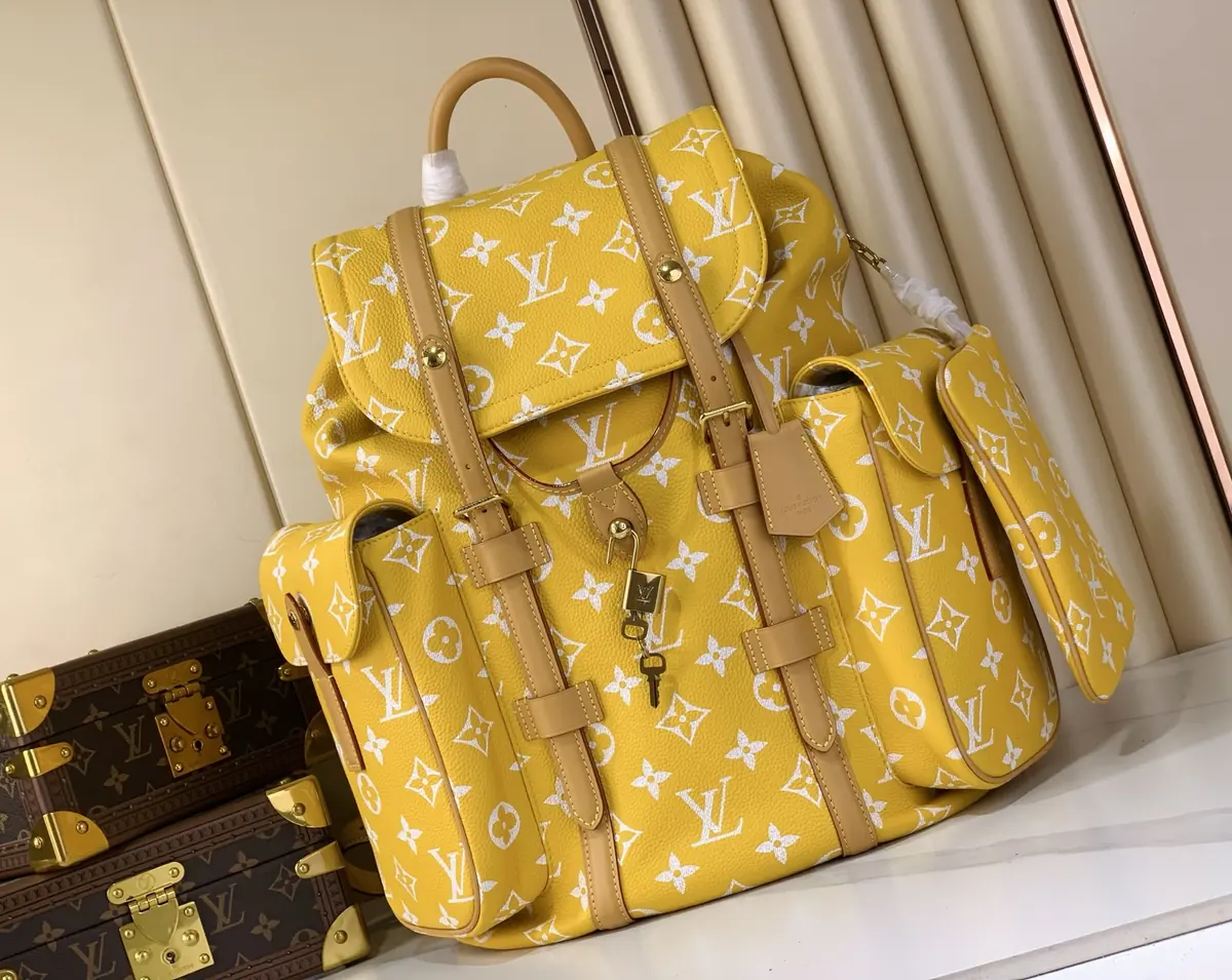 LV Style Leather Backpack Lookbook Reference image 1