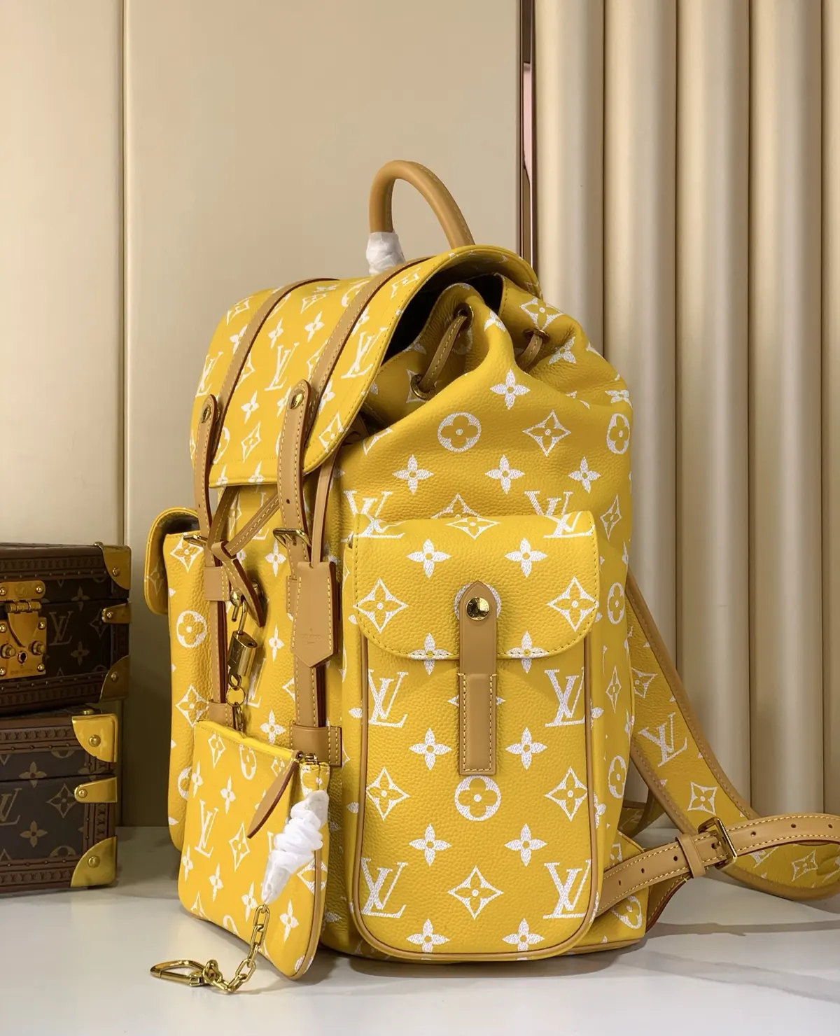 LV Style Leather Backpack Lookbook Reference image 2