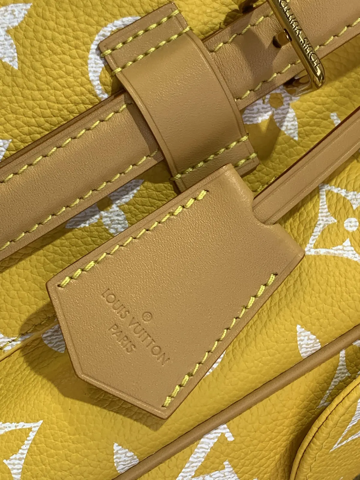 LV Style Leather Backpack Lookbook Reference image 5