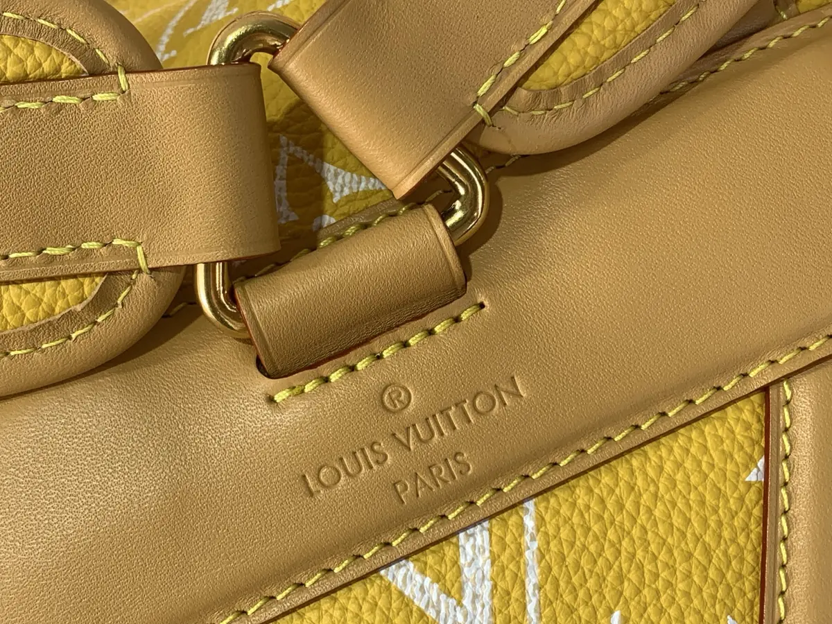 LV Style Leather Backpack Lookbook Reference image 6