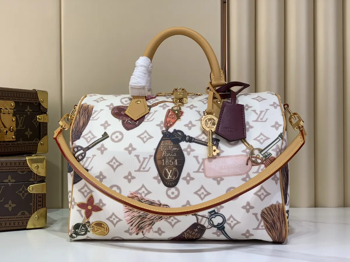 LV Style White Canvas Bag Lookbook Reference image 1