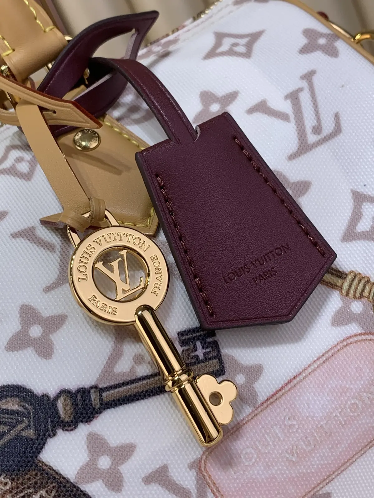 LV Style White Canvas Bag Lookbook Reference image 5