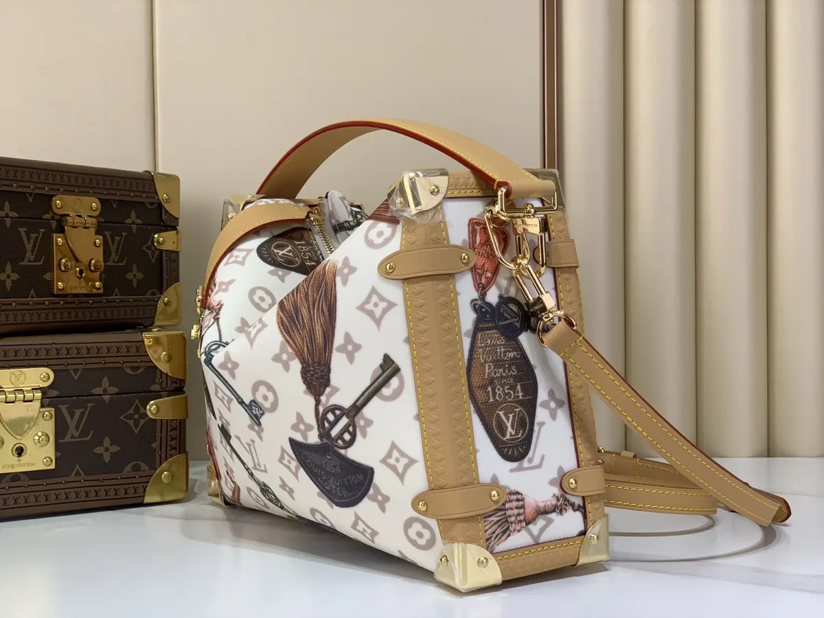 LV Style White Canvas Bag Lookbook Reference image 2
