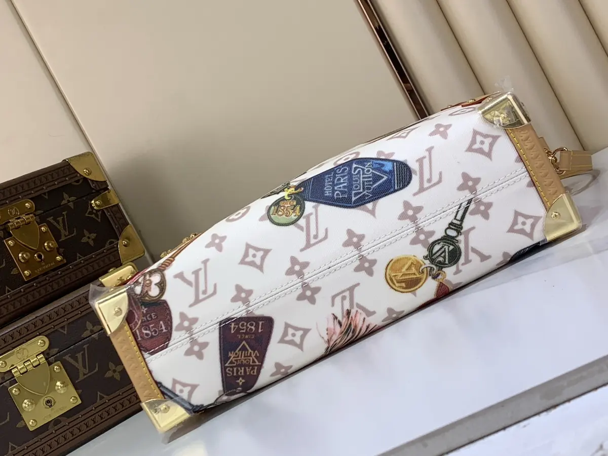 LV Style White Canvas Bag Lookbook Reference image 4