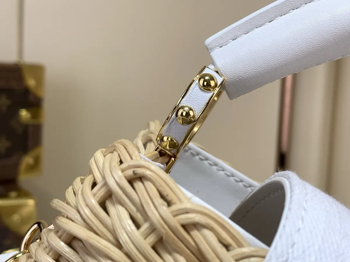 LV Style White Leather Chain Bag Lookbook Reference image 5