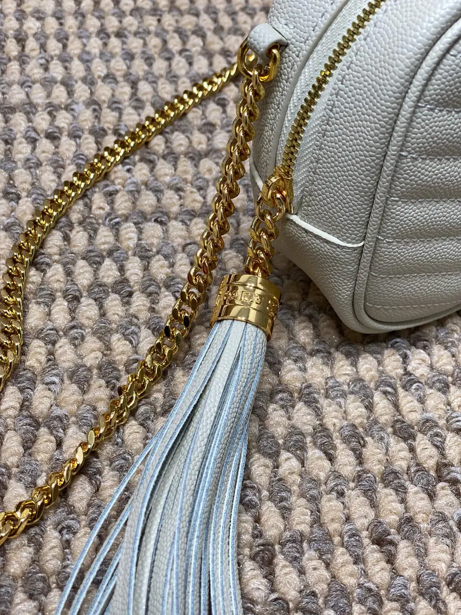 YSL Style Leather Camera Bag Bags Camera Bag detail image 7 from source 729380
